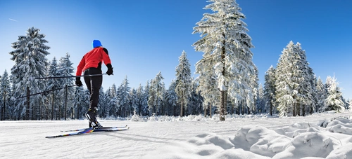 лыжник, спорт, зима, лес, белые, черные, красные